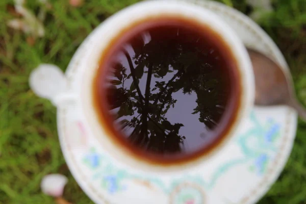 Gökyüzünün yansıması ve yeşil çimlerin üzerinde duran mavi süslemeli beyaz porselenden yapılmış bir kahve fincanında yapraklar.