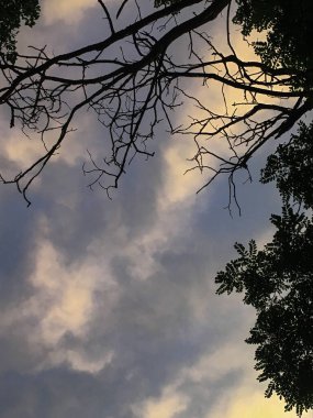 Şehrin üzerindeki bulutlar güneşin günbatımı ışınlarıyla farklı renklere boyanır.