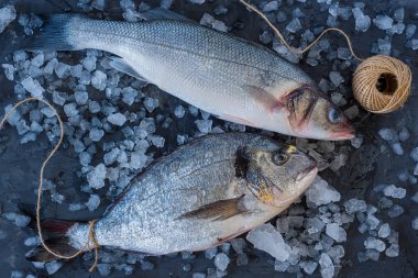 Buzlu taze çiğ deniz balığı.