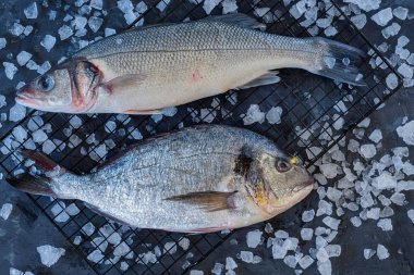 Buzlu taze çiğ deniz balığı.