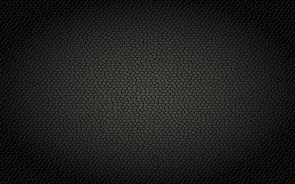 Texture Réaliste Cuir Noir — Image vectorielle