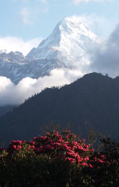 Güzel doğa. Peri manzarası. Nepal 'in Himalaya dağlarının hava manzarası.