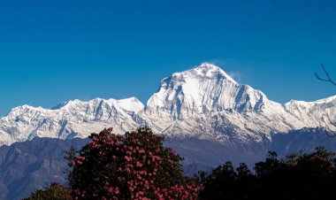 Mavi gökyüzü ve bulutların arka planında kar ve ormanla kaplı dağlarla muhteşem bir sonbahar manzarası. Everest Dağı, Nepal.