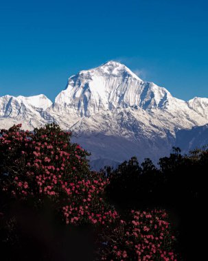 Güzel doğa. Peri manzarası. Nepal 'in Himalaya dağlarının hava manzarası.