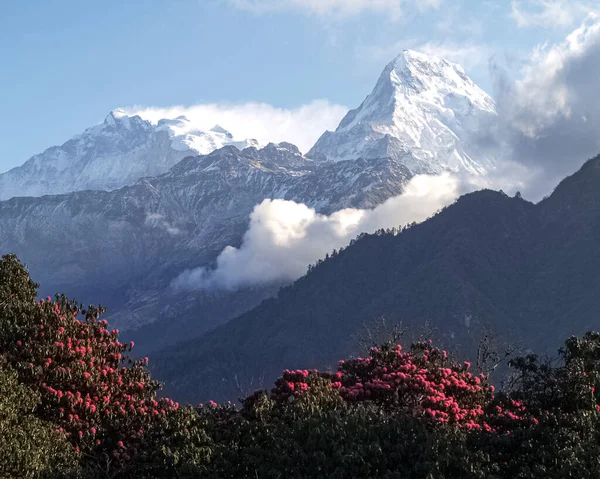 Piękna natura. Wróżkowe krajobrazy. Widok z lotu ptaka Himalajów w Nepalu. — Zdjęcie stockowe