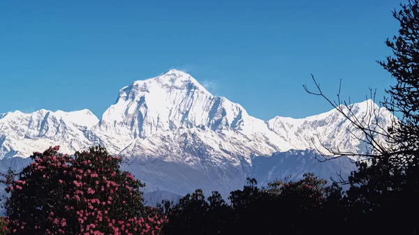Mavi gökyüzü ve bulutların arka planında kar ve ormanla kaplı dağlarla muhteşem bir sonbahar manzarası. Everest Dağı, Nepal.