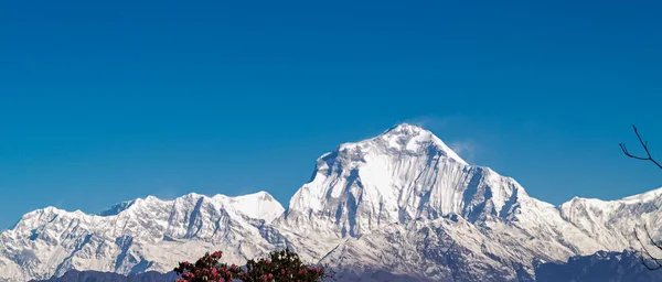 Dağ manzarası manzarası. Parlak mavi gökyüzüne karşı karla kaplı görkemli dağ zirveleri. — Stok fotoğraf