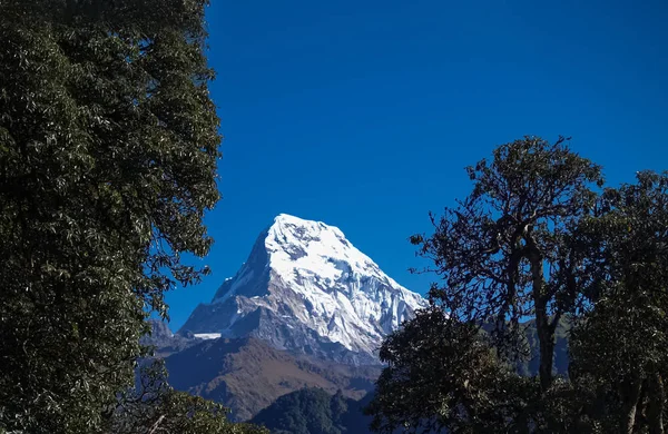 Καταπληκτικά βουνά Ιμαλάια Καλυμμένα με χιόνι — Φωτογραφία Αρχείου
