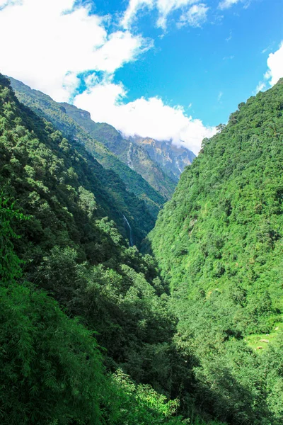 Paisajes vívidos de frescura forestal a lo largo del Valle de la Montaña — Foto de Stock