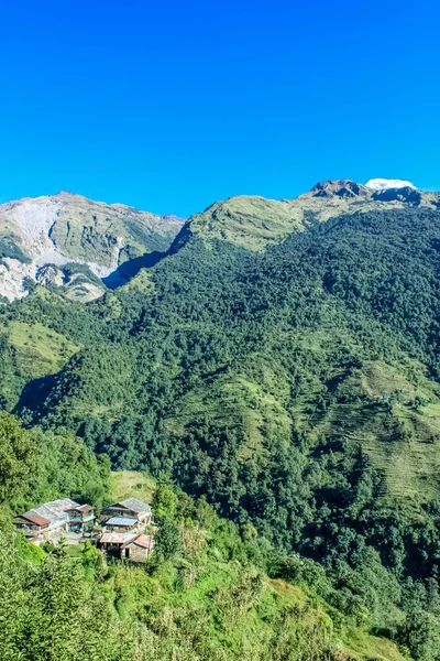 Paisajes vívidos de frescura forestal a lo largo del Valle de la Montaña — Foto de Stock