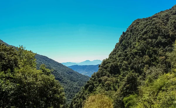 Paisajes vívidos de frescura forestal a lo largo del Valle de la Montaña — Foto de Stock