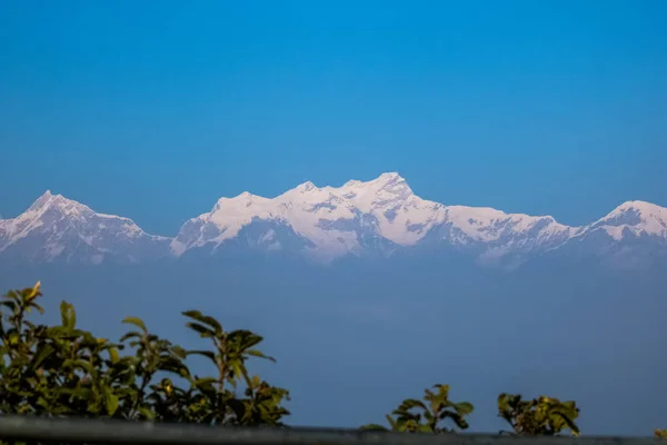 森林鲜活的生动风景 — 图库照片