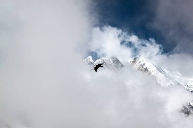 Tepenin tepesinde sabah sisiyle kaplanmış