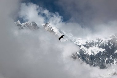 Tepenin tepesinde sabah sisiyle kaplanmış