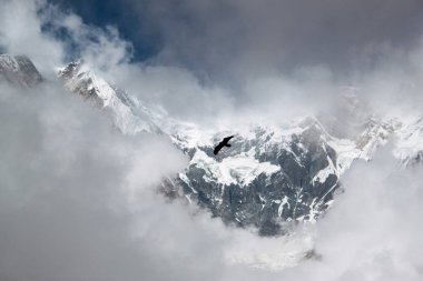 Tepenin tepesinde sabah sisiyle kaplanmış