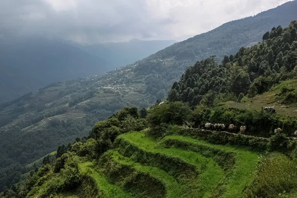 Vuelos de montaña es la mejor manera de visitar Nepal — Foto de Stock