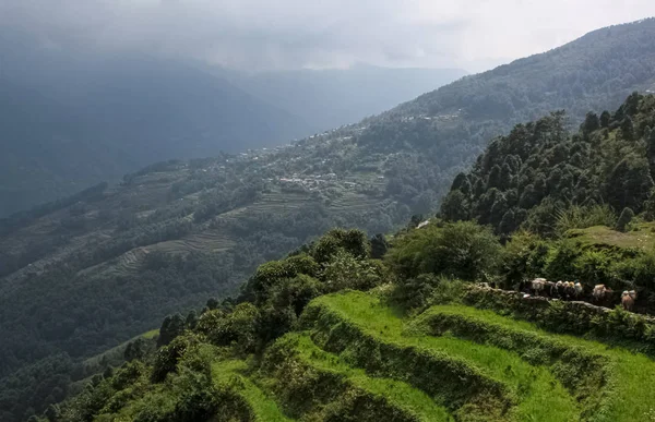 Nepal 'i ziyaret etmenin en iyi yolu dağ uçuşlarıdır.