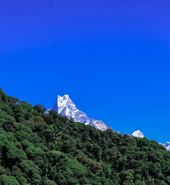 Hermosa y asombrosa montaña cubierta de nieve con cielo azul — Foto de Stock