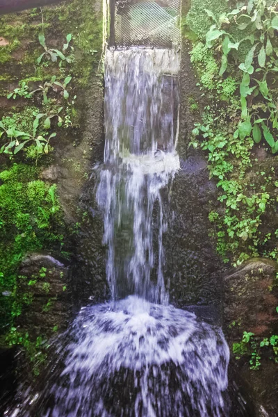 Su, dağdaki şelale gibi akıyor.