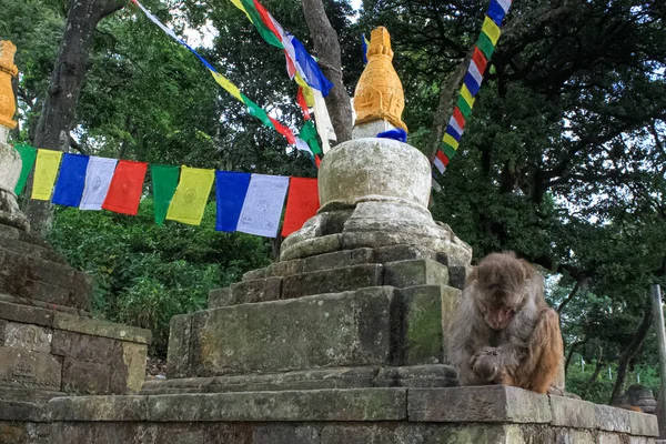 Santuário budista Swayambhunath Stupa com olhos de Buda — Fotografia de Stock