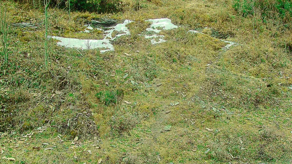 Fotoğraf Nepal Illam Bölgesinde Kanyam Tea Estate Çekildi Güzel Tepeler — Stok fotoğraf