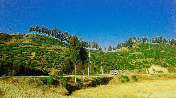Фотография Сделана Чайной Усадьбе Каньям Районе Иллам Непале Красивые Холмы — стоковое фото
