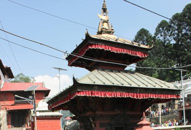 Pashupatinath, Shiva taraftarları için Asya 'nın en önemli dört dini yerinden biridir. 5. yüzyılda inşa edildi ve daha sonra Malla Kralları tarafından restore edildi..