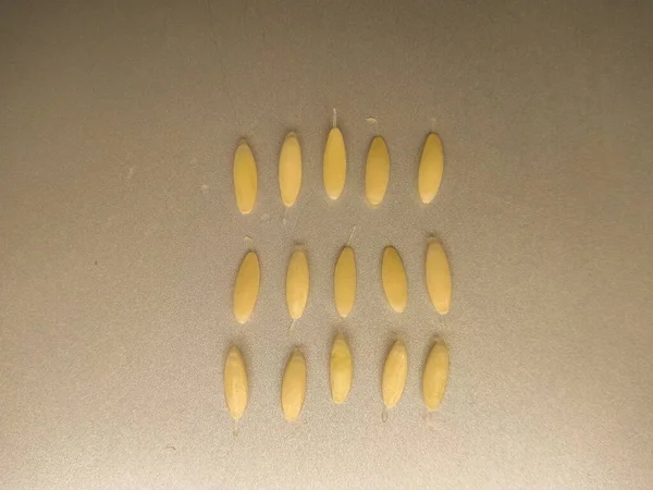 Beyaz arka planda salatalık tohumu.