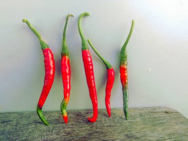 Bitki saksılarında yükselen taze kırmızı biber ve yeşil biber bitkisi. Nepal organik besin maddesi