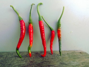 Bitki saksılarında yükselen taze kırmızı biber ve yeşil biber bitkisi. Nepal organik besin maddesi