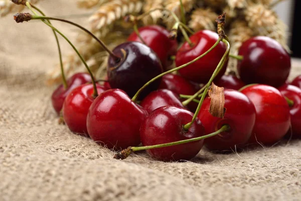 Frische rote und schmackhafte Kirschen auf Jude-Hintergrund, mit einem Bund — Stockfoto