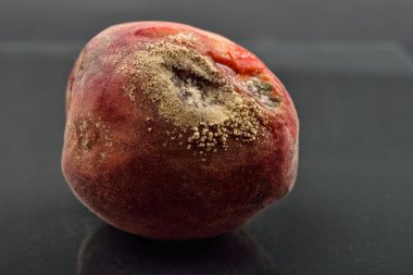 Eski karanlık yansıtıcı tablo, sağlıksız şımarık ve küflü şeftali 