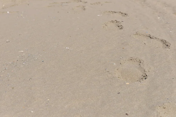 Stopy v písku na břehu moře Blacl. Conc cestování Beach — Stock fotografie