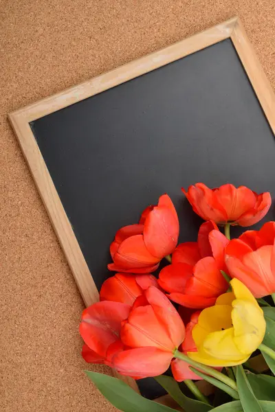 Wiele czerwone i żółte tulipany otworzyć na pusta tablica, nad b korek — Zdjęcie stockowe
