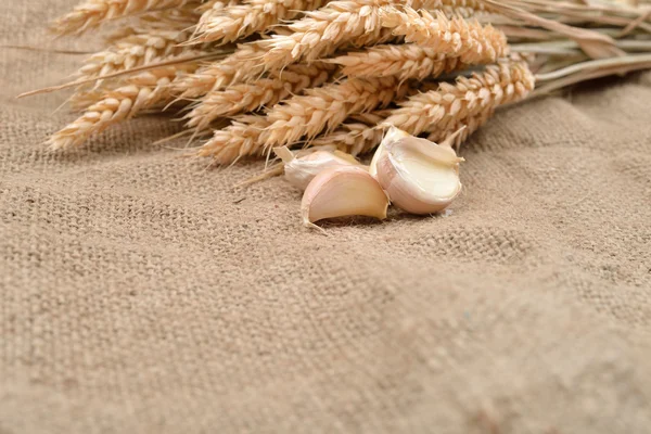 Сухий часник на джутному фоні, з купою пшениці за ними . — стокове фото