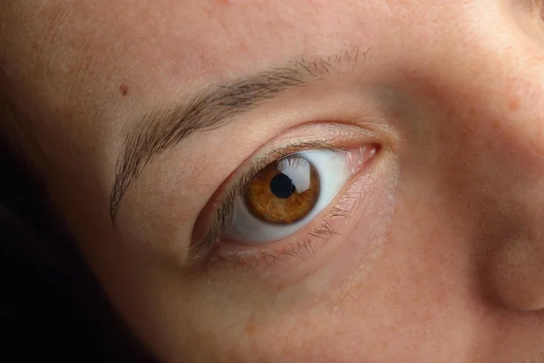 Szem kép - női sötétbarna szeme néz a kamerába, shar megjelenés — Stock Fotó