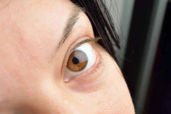 Imagem do olho olhos castanhos femininos olhando para a câmera, olhar shar — Fotografia de Stock