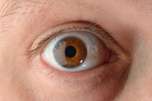 Imagem de perto do olho humano castanho. Jovem com pestanas compridas — Fotografia de Stock
