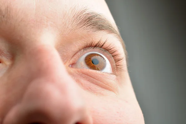 Close-up foto van bruin menselijk oog. Jonge man met lange wimpers — Stockfoto
