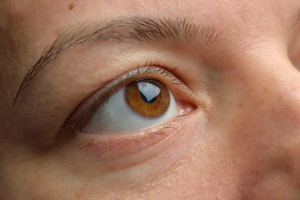 Oog close-up - bruine ogen zijwaarts op zoek. Close-up van bruin fem — Stockfoto