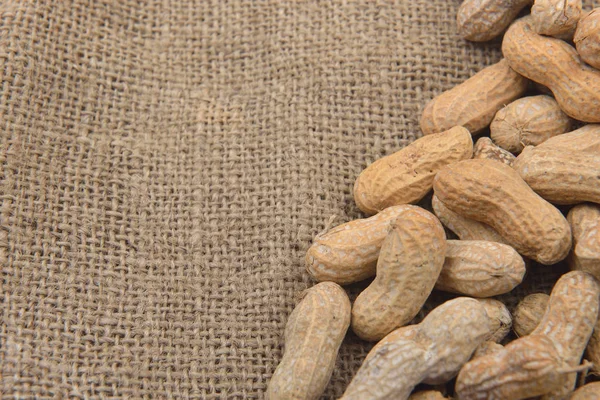Peanut in the shell on a jute background. Healthy food. Copy spa
