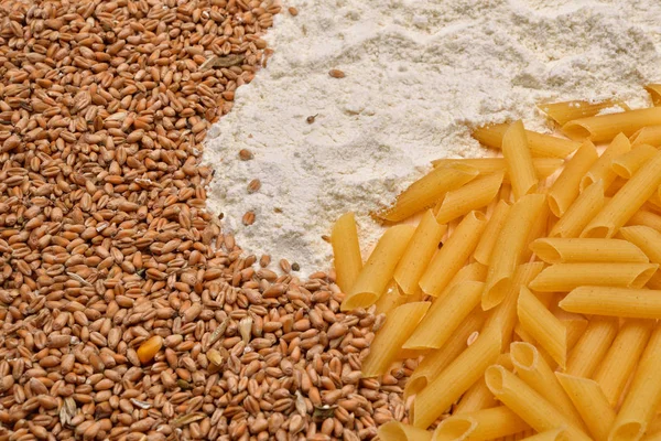 Macarrão cru, trigo, farinha branca. Matérias primas e fibras — Fotografia de Stock