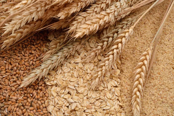 Oatmeal flakes, grain and wheat germ, ears of wheat on them. Hom — Stock Photo, Image