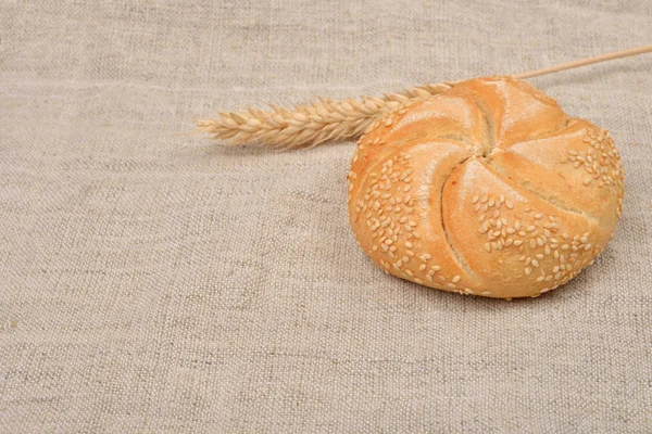Versgebakken volkoren broodje ronde sandwich besprenkeld met sesa — Stockfoto