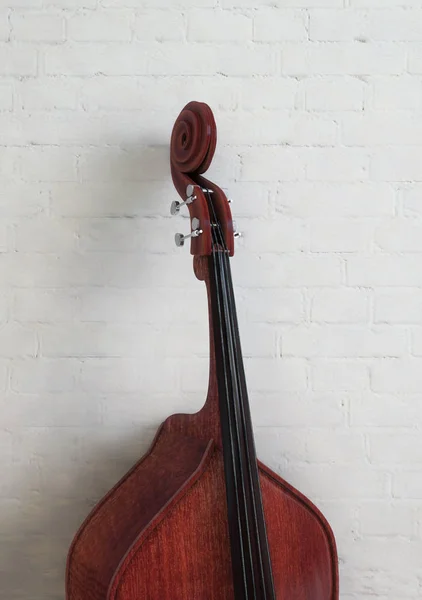 Bajo doble en una habitación de estudio —  Fotos de Stock