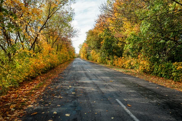 Осень дорога в день — стоковое фото