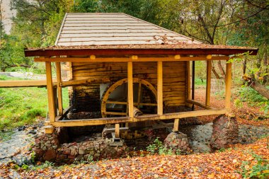 Sonbahar ormandaki su değirmeni