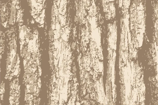 Vector grunge bakgrund. Gammal bark träd textur. — Stock vektor