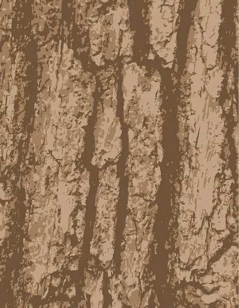 矢量 grunge 背景。老树皮树纹理. — 图库矢量图片