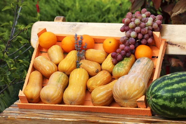 Πορτοκαλί και πράσινες κολοκύθες σε υπαίθρια αγορά αγροτών. Πολύχρωμο φόντο των Ευχαριστιών φθινόπωρο. — Φωτογραφία Αρχείου